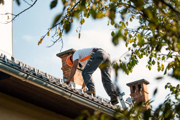 Best Tile Roofing Contractor  in Van Vleck, TX