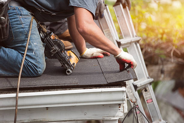 Best Roof Maintenance Services  in Van Vleck, TX
