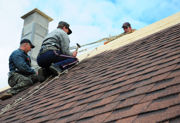 Roof Gutter Cleaning in Van Vleck, TX